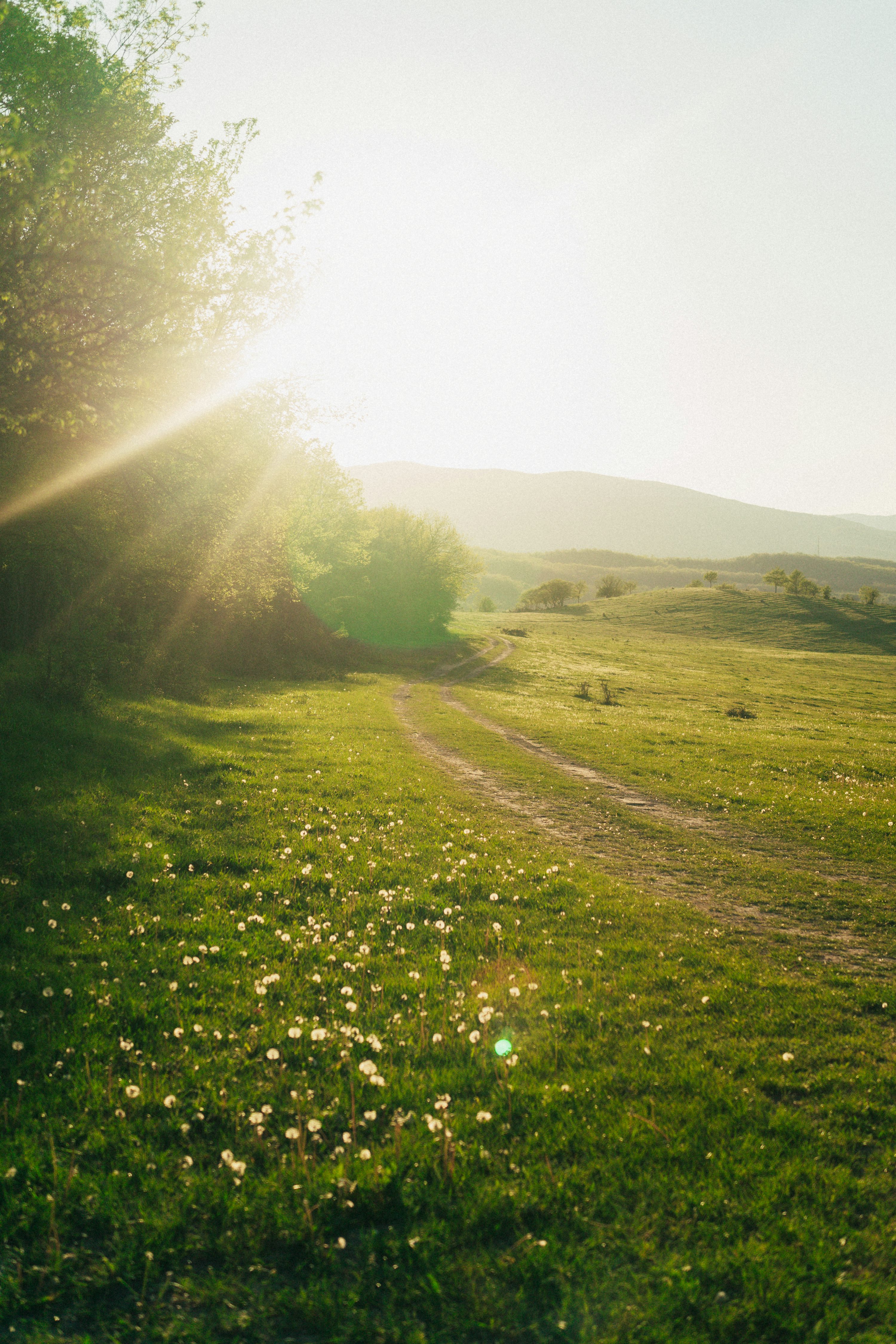Cover image for Sabbath Article (Dec. 27, 2025): When You Are Tired, You Are Still Being Carried